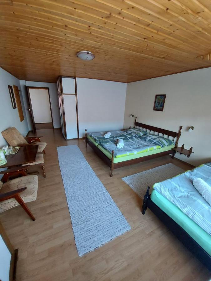 Penzion Spissky Dvor 斯米扎尼 外观 照片